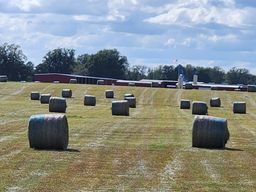 Hay rolls