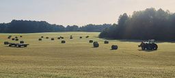 Hayfield in the am 2024